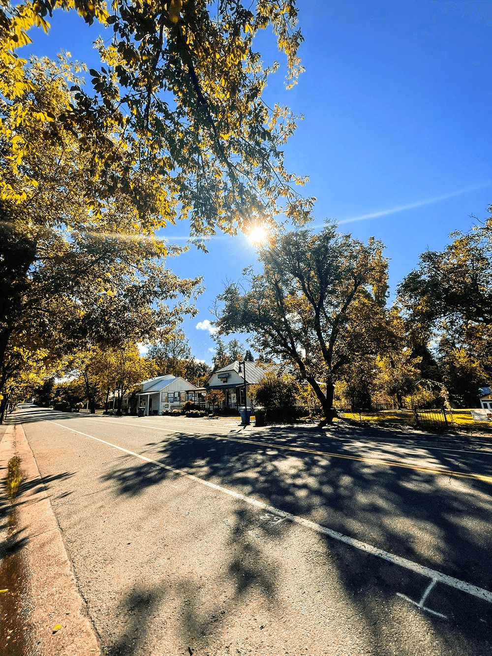 A sunlit street lined with trees and a house under a clear blue sky.